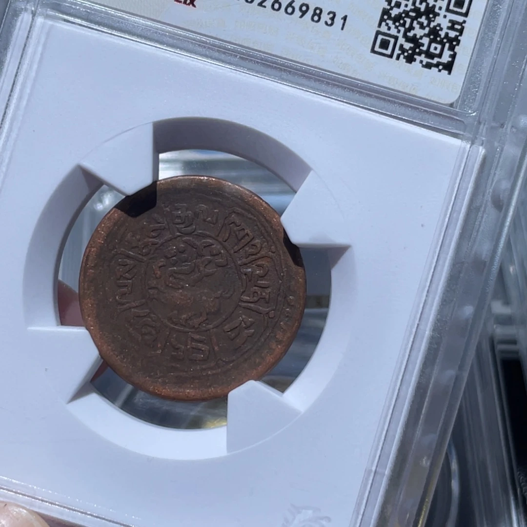 金属通古博今姚姚9831