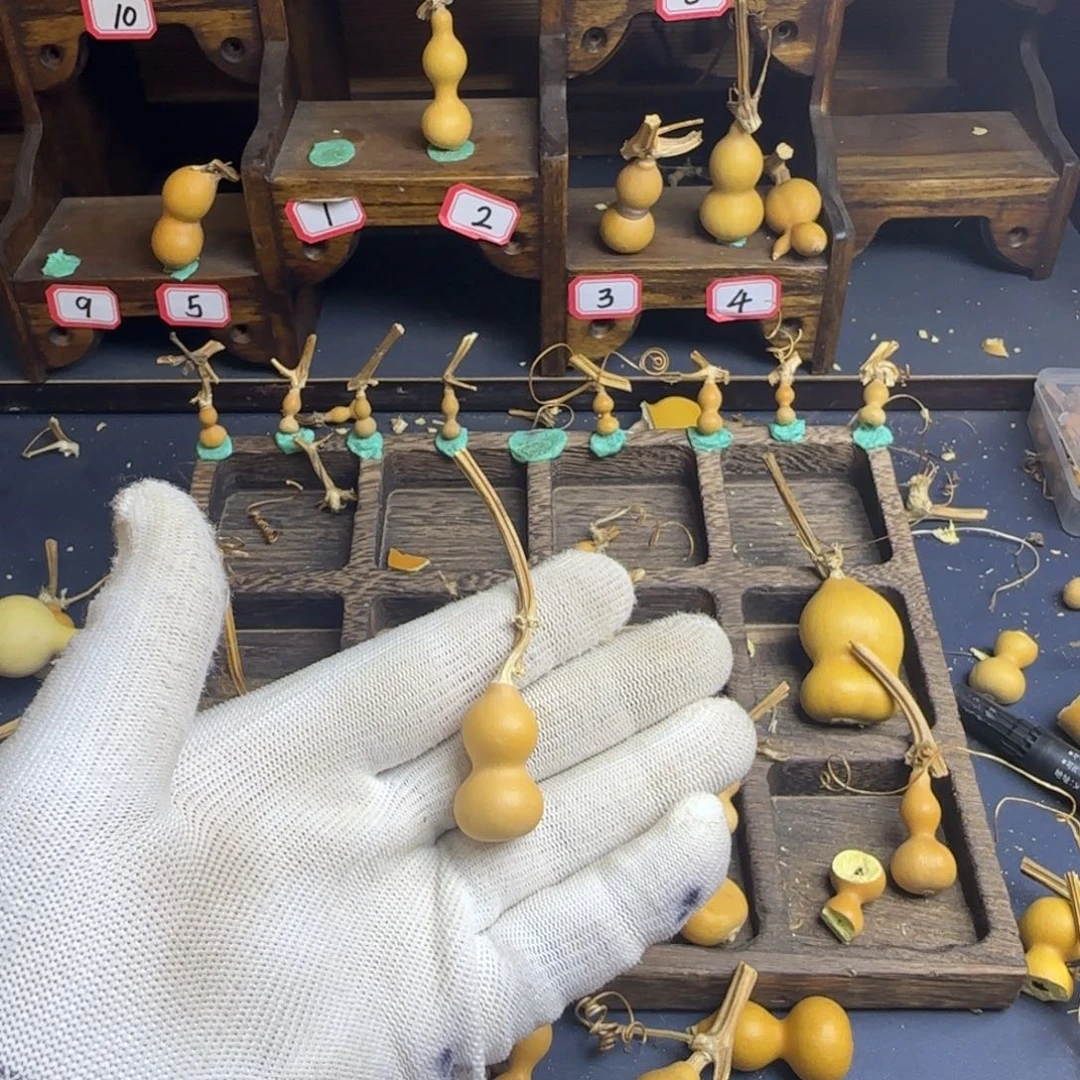 の***°我也是很喜欢这个节目的