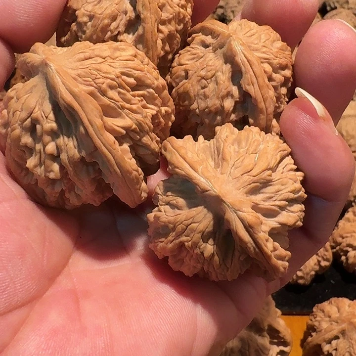 放***我一对南江一对虎头