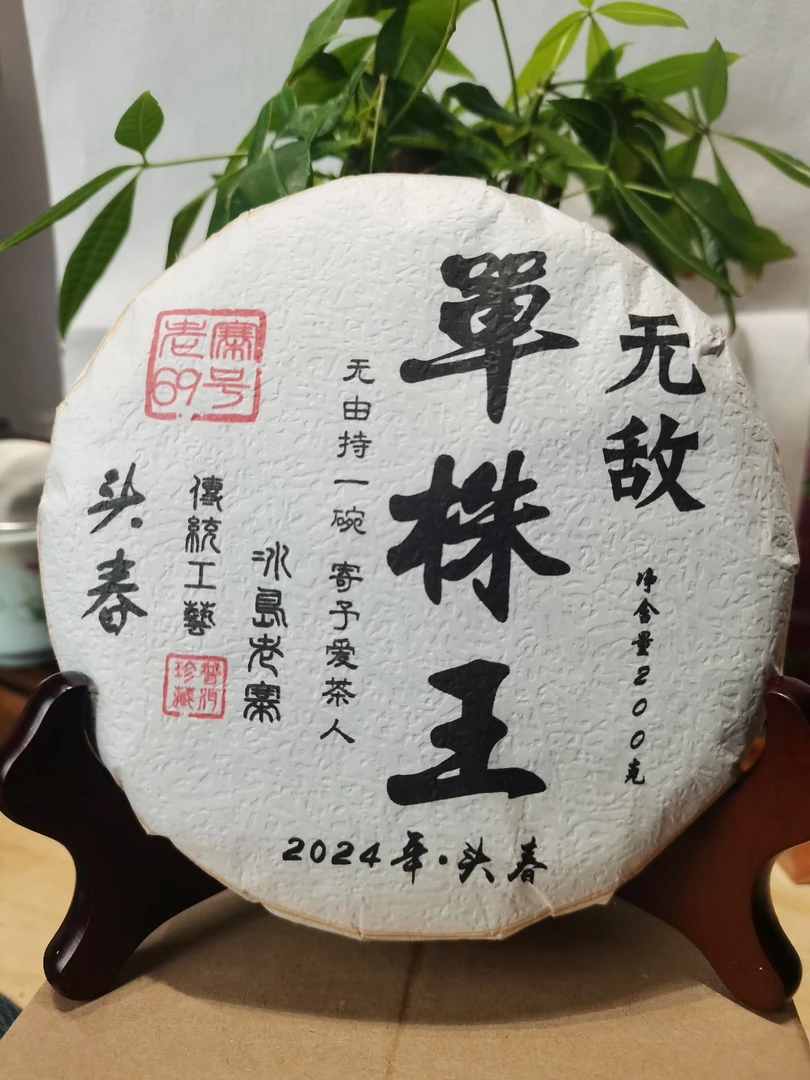 冰岛老寨69号2024无敌单株王头春200克饼茶