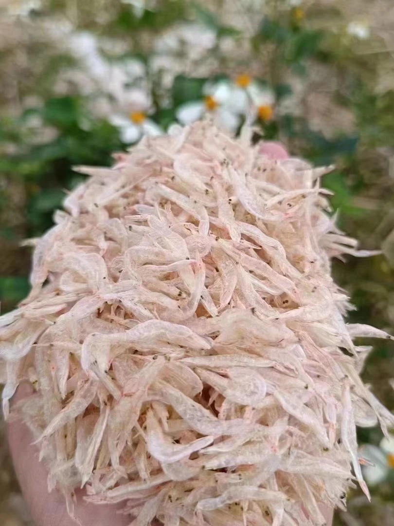 【妹仔推荐】虾皮 水晶虾皮 煎蛋 煲汤 煮粥 煮面条