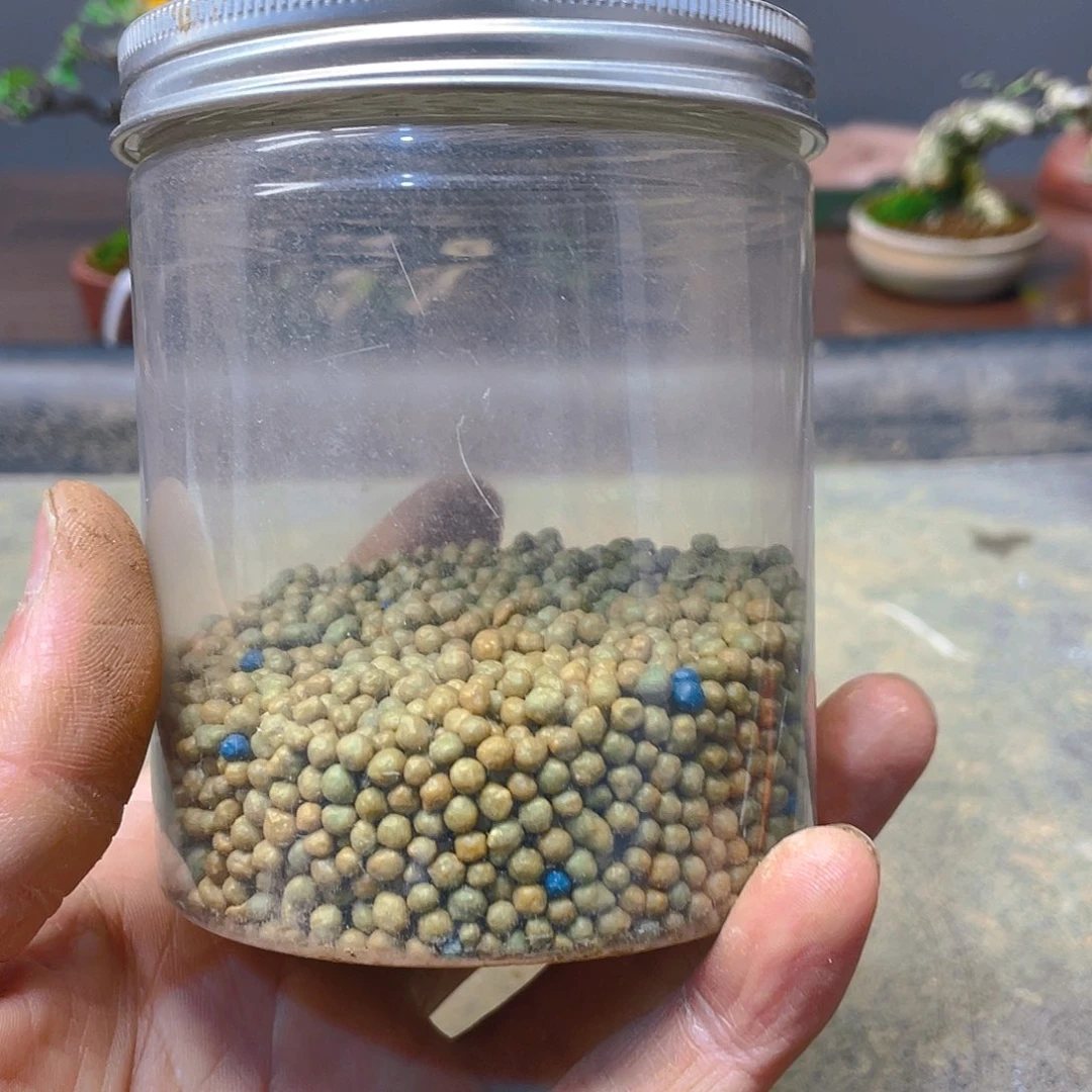 守***者无花朵奥绿肥花开富贵吉祥