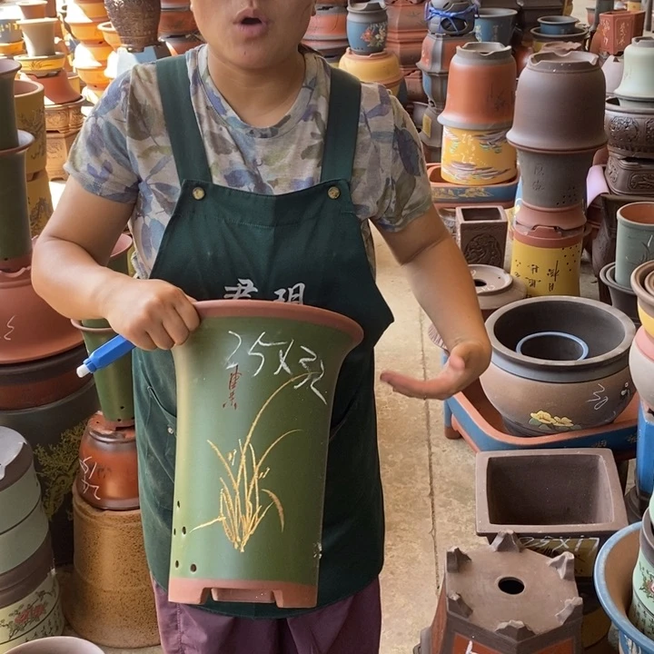 紫砂花盆盆栽花卉