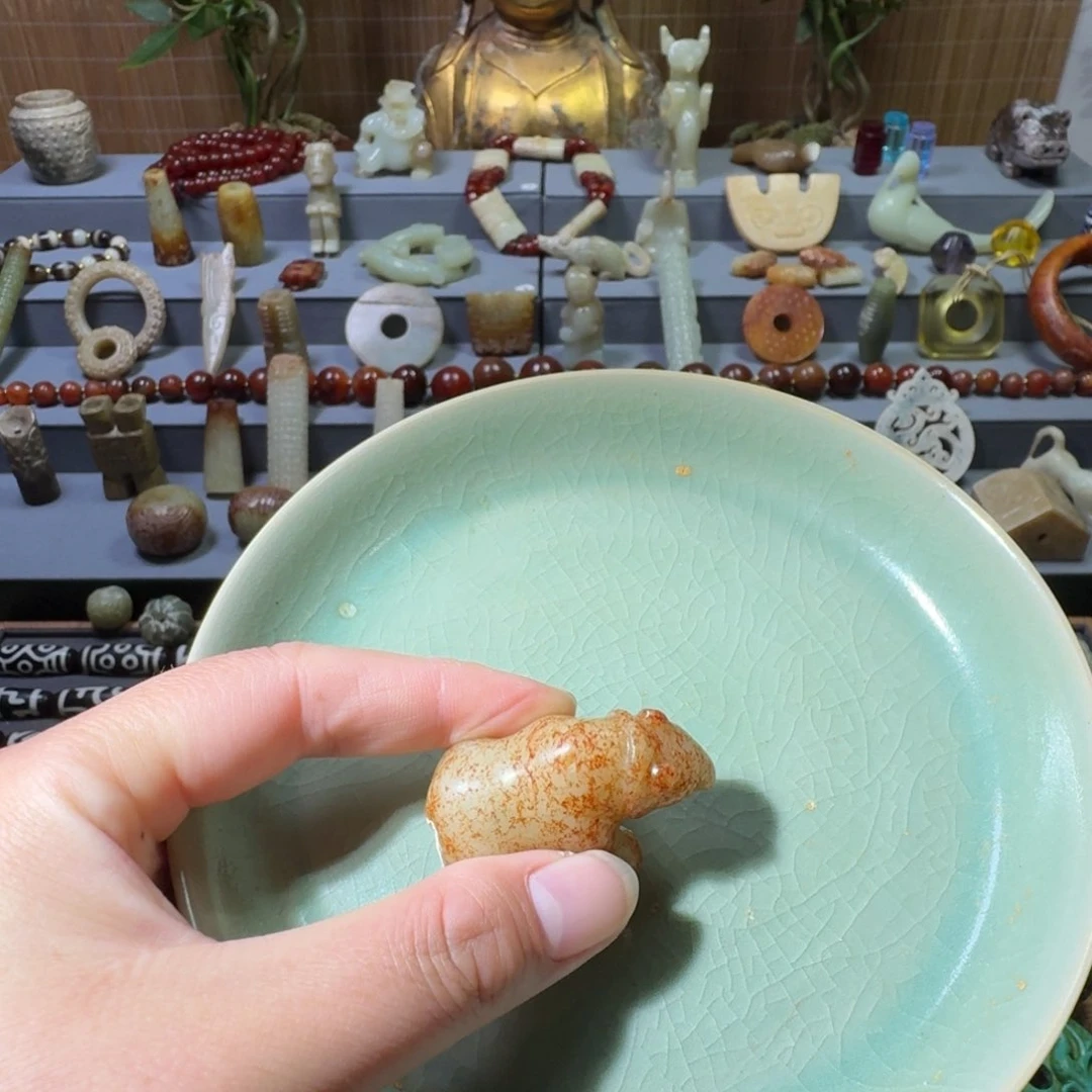 瓷片李*111111111111111111