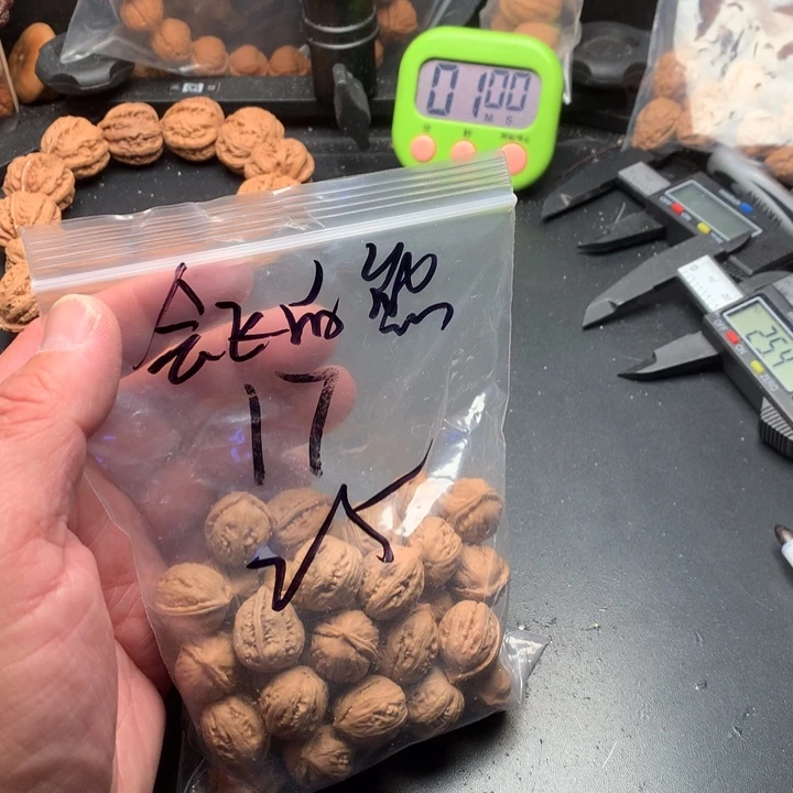 桃核吊坠会**熊野生精品小核桃散籽