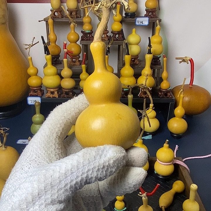 十***、福利产品 不退不换