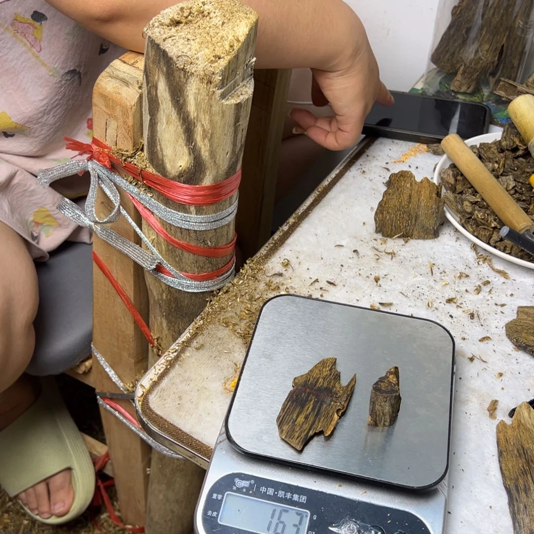 线香奇楠虫漏香16克