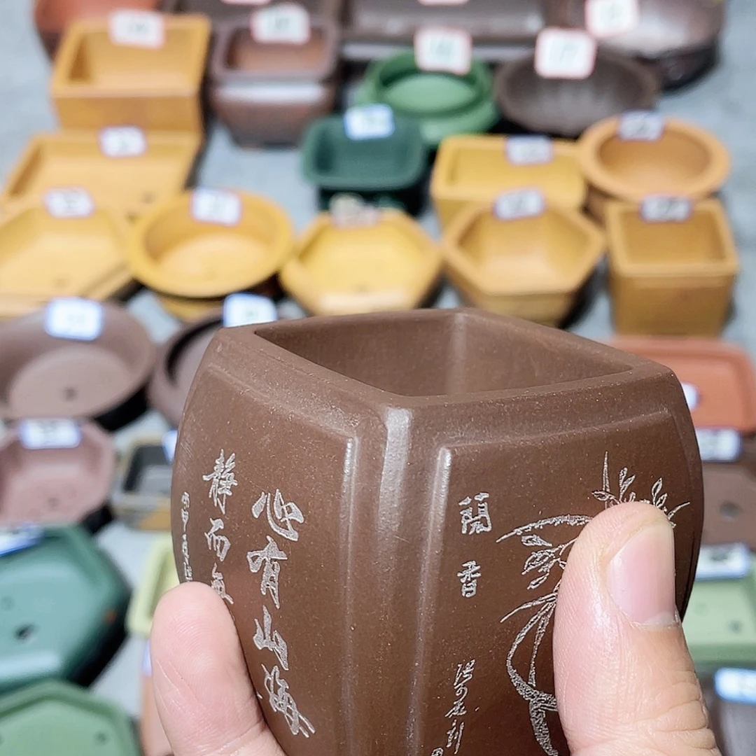紫砂小盆5*6cmmmm