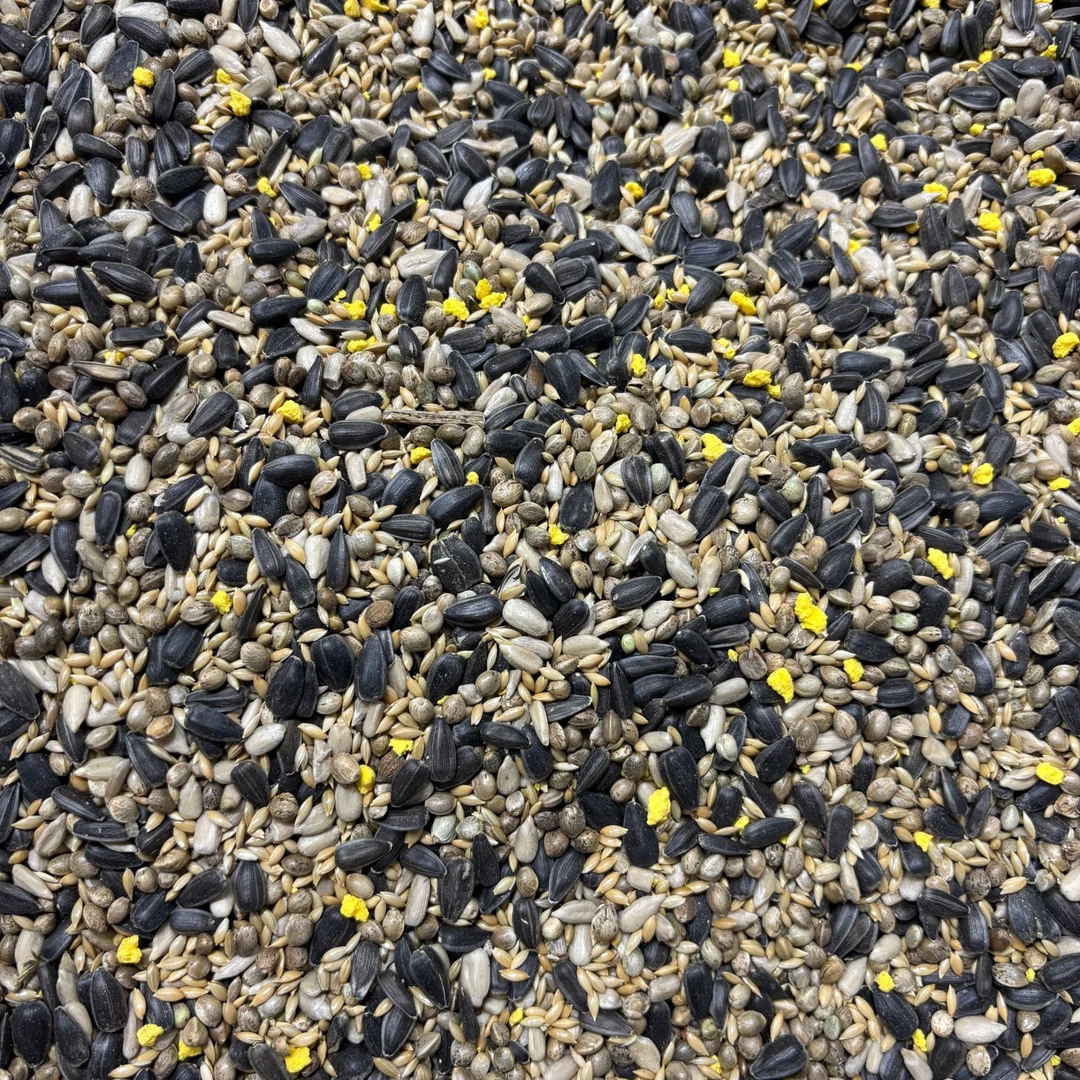 鹦鹉高营养高蛋白油料（麻子 油葵 加纳利子 无壳瓜籽 蛋黄）