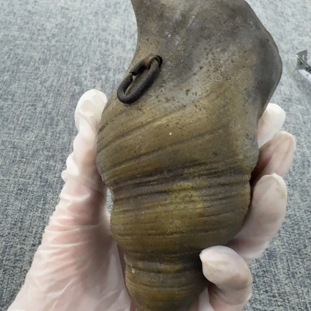 茶杯紫砂非常美丽漂亮的物品