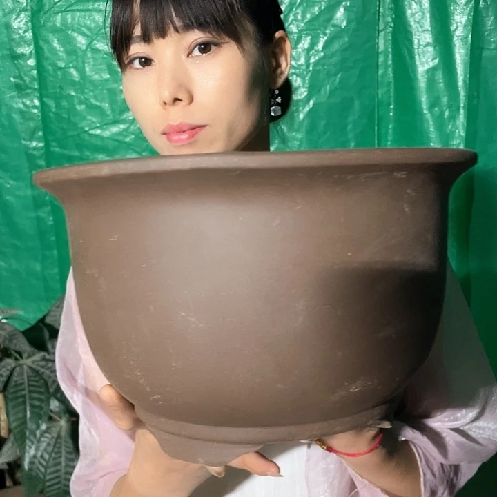 38素面金钟花盆花盆花盆