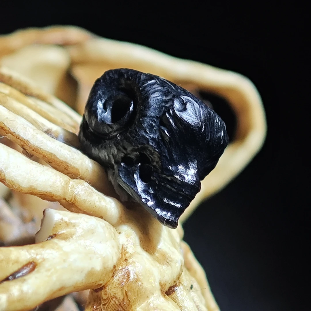 【不言骑 · 初度】gc黑初度全三通 羊角恶魔骷髅 尺寸8*12*14