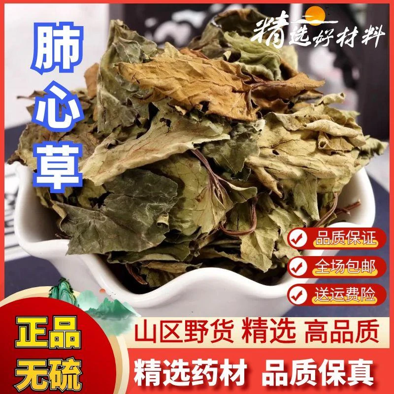 -甄选肺心草四川野生肺心草别名梅花草白侧耳肺筋草车前草中药材