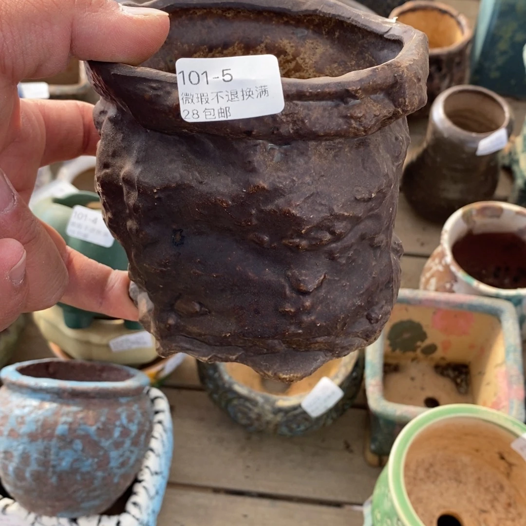 5号花盆内10.5高10