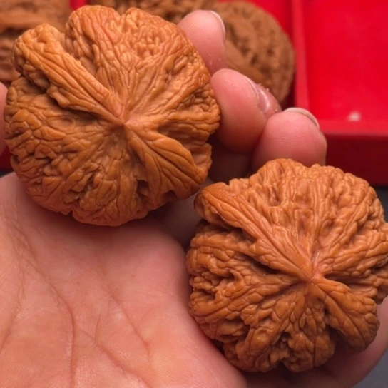 文玩核桃把件秦岭山脉核桃