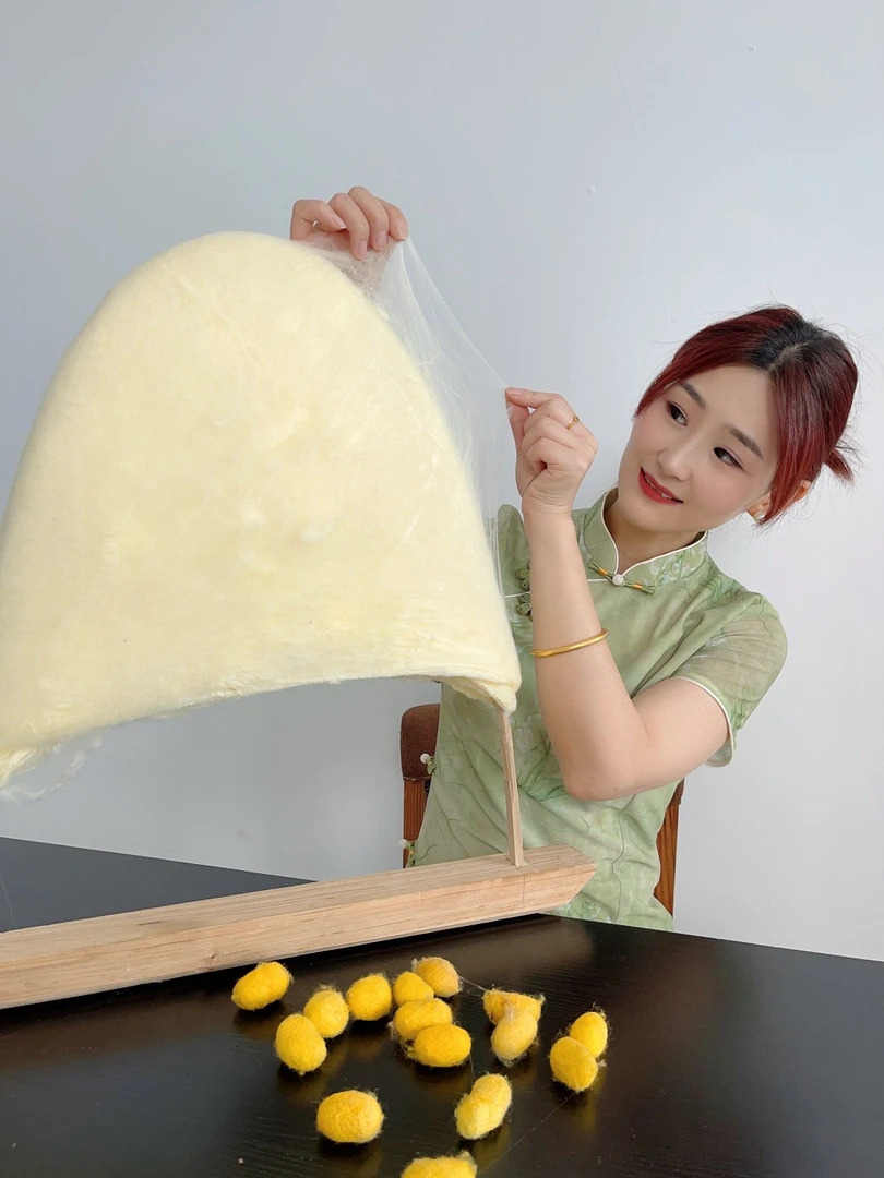 雅道正品桐乡手工制作100%蚕丝被黄金桑蚕丝双宫子母被家用婚被