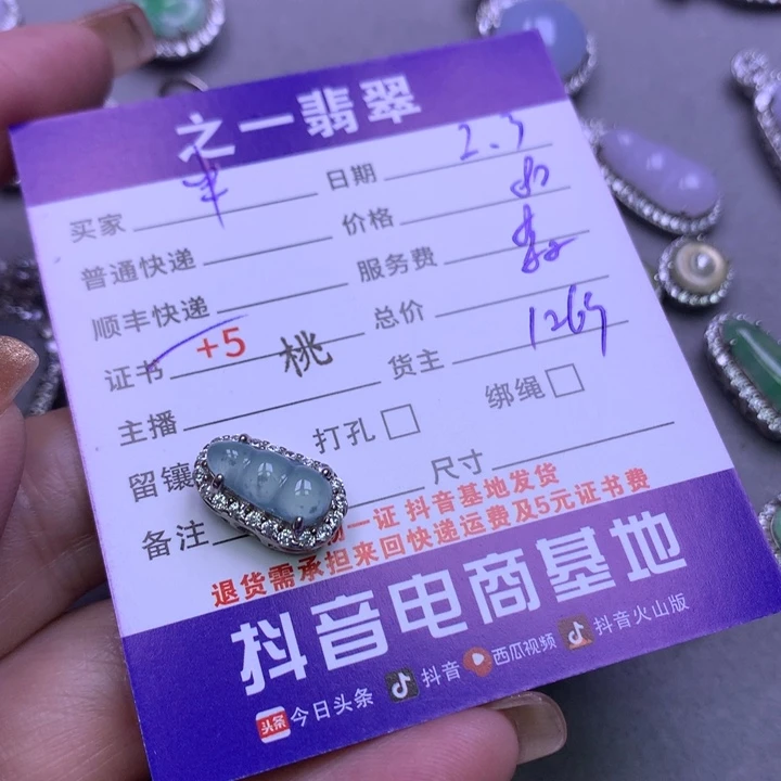 翡翠颈饰银S925镶嵌半**归