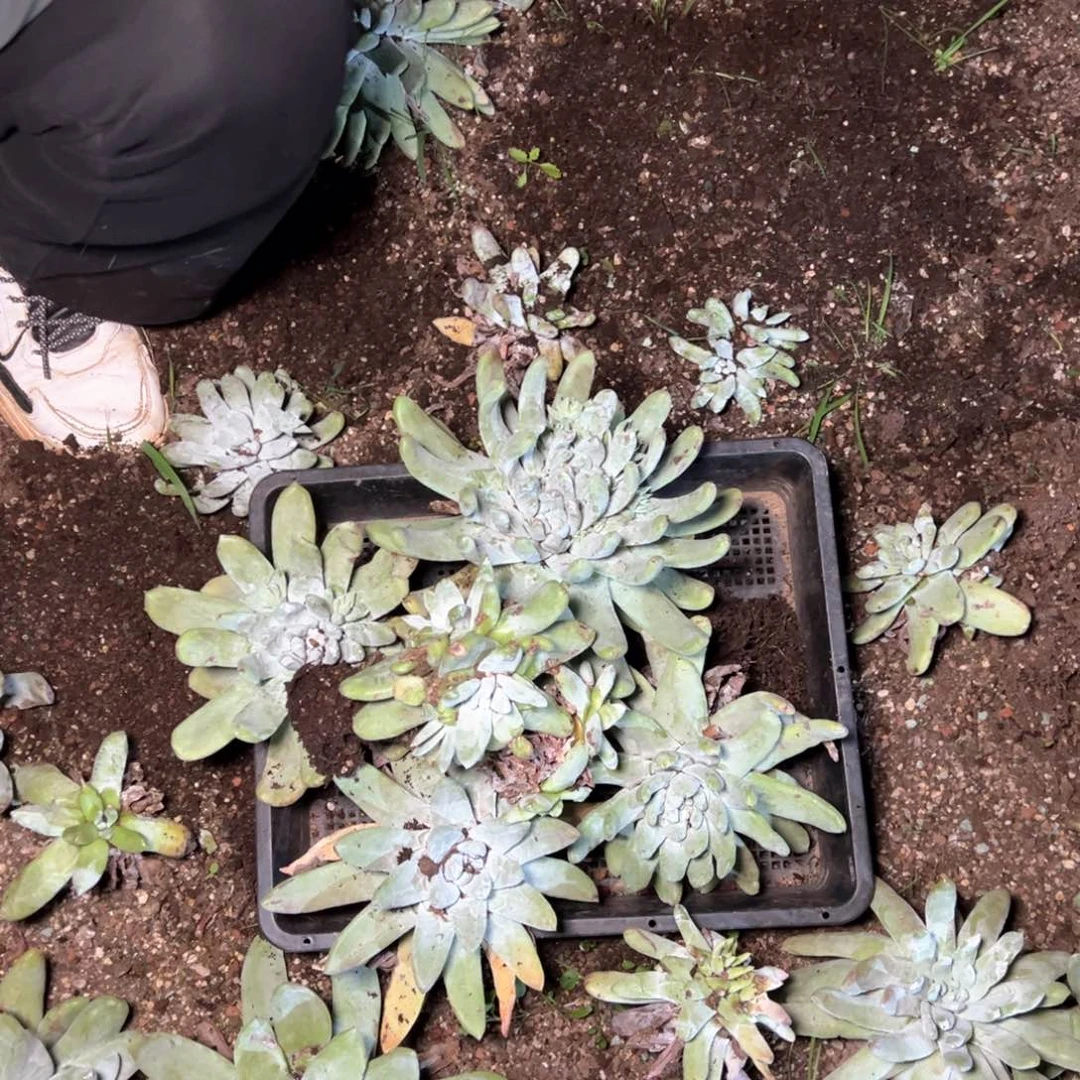 5547哈哈哈哈哈哈哈哈