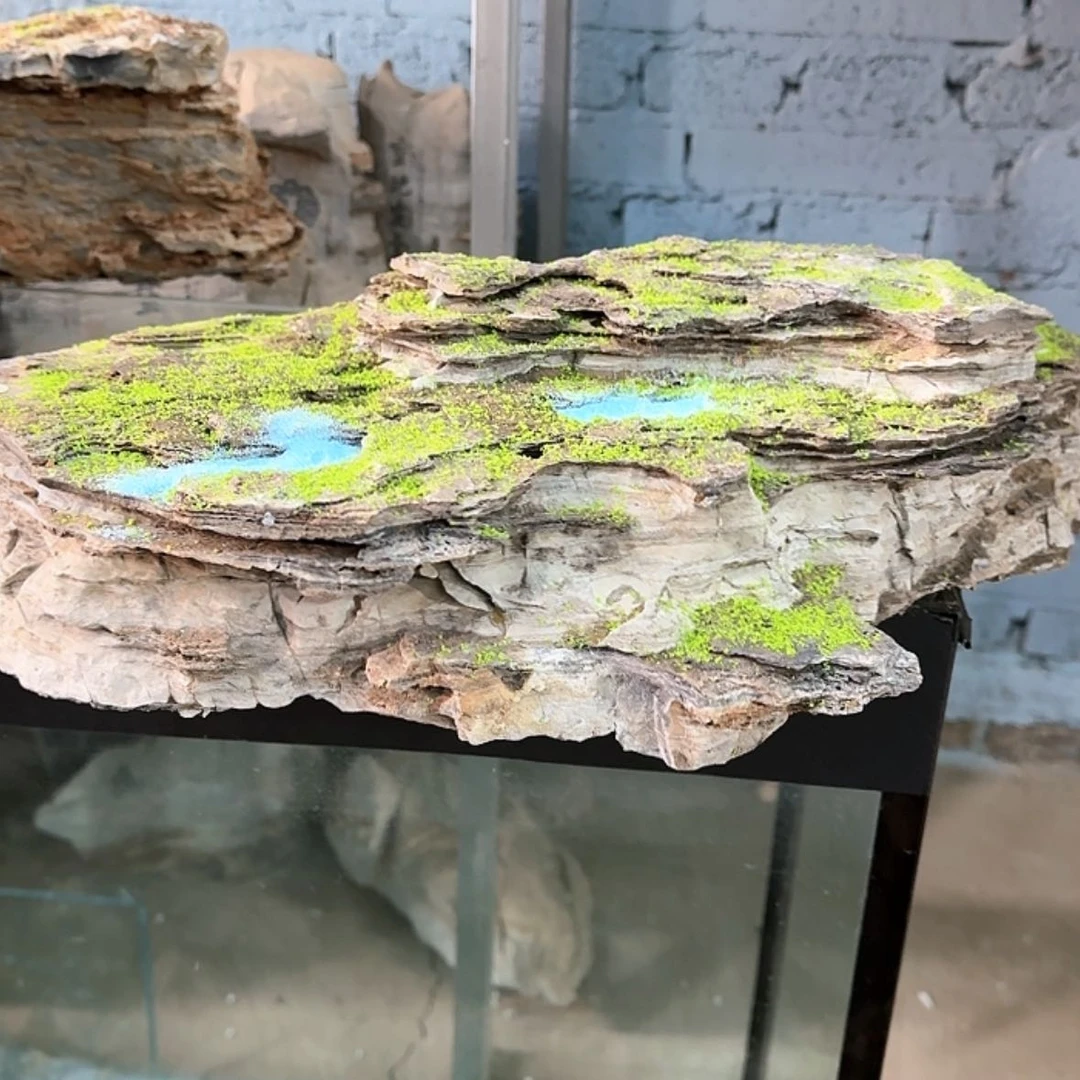 【闪购商品】香榧木大***乐出自一名知名摄影师在美国