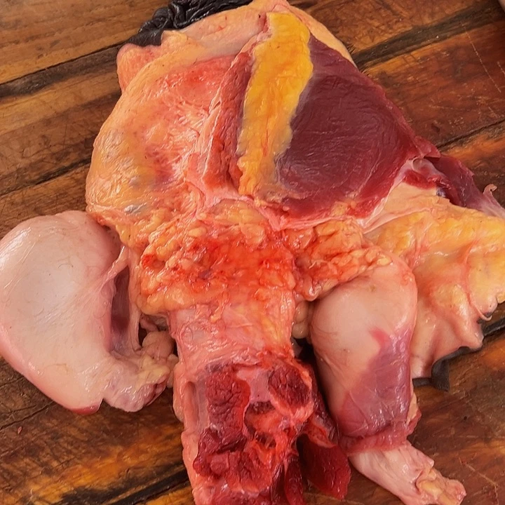 广西土耕马马肉、沙姜炒马肉中国大陆
