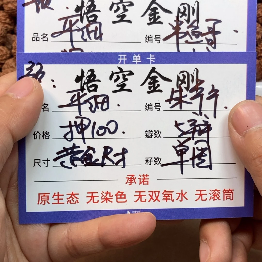 金刚菩提吊坠平细大尺单圈预