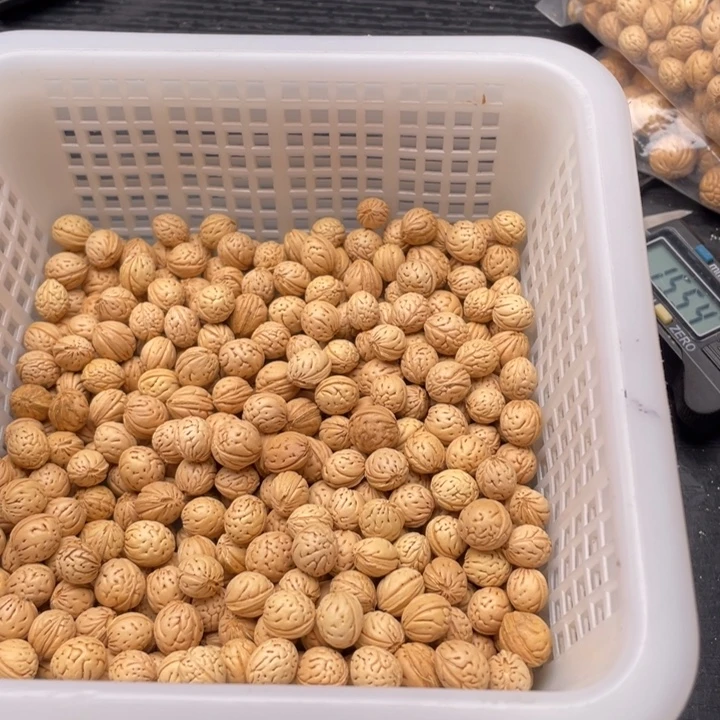 飞***虎散籽批发小桃核30