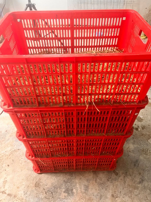 异色 塑料筐子 银色 花色 黑色 白色框