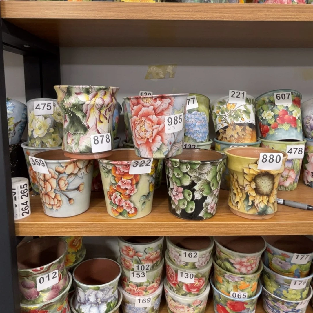 ****紫瑶宸6个多肉花盆积分已兑换