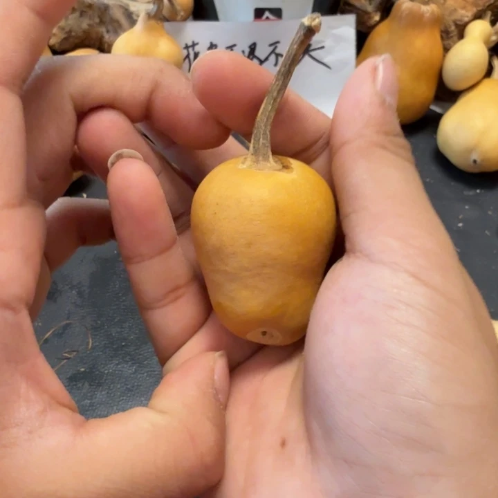 _****88……………………………………