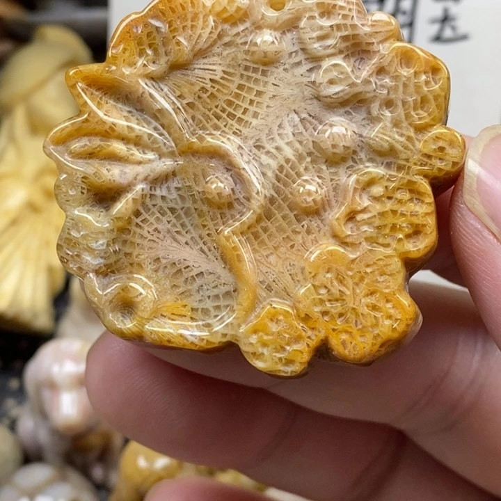 硅化珊瑚（珊瑚玉）未镶嵌颈饰