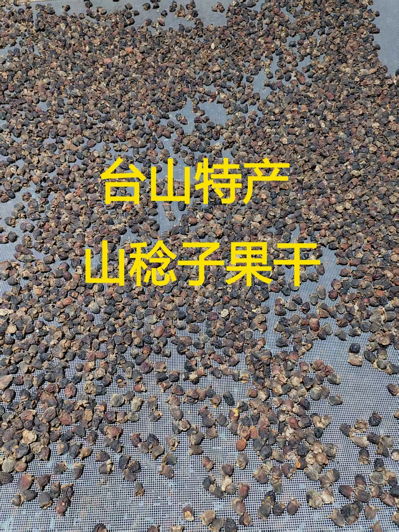 江门台山特产 山稔香果  山捻子果果干（台山种植）