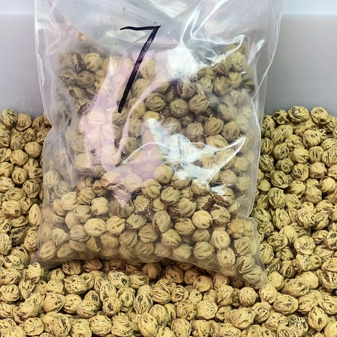 L***-吊坠柏香籽/百香籽