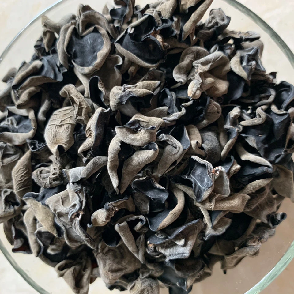 【小丸子1】东北黑木耳