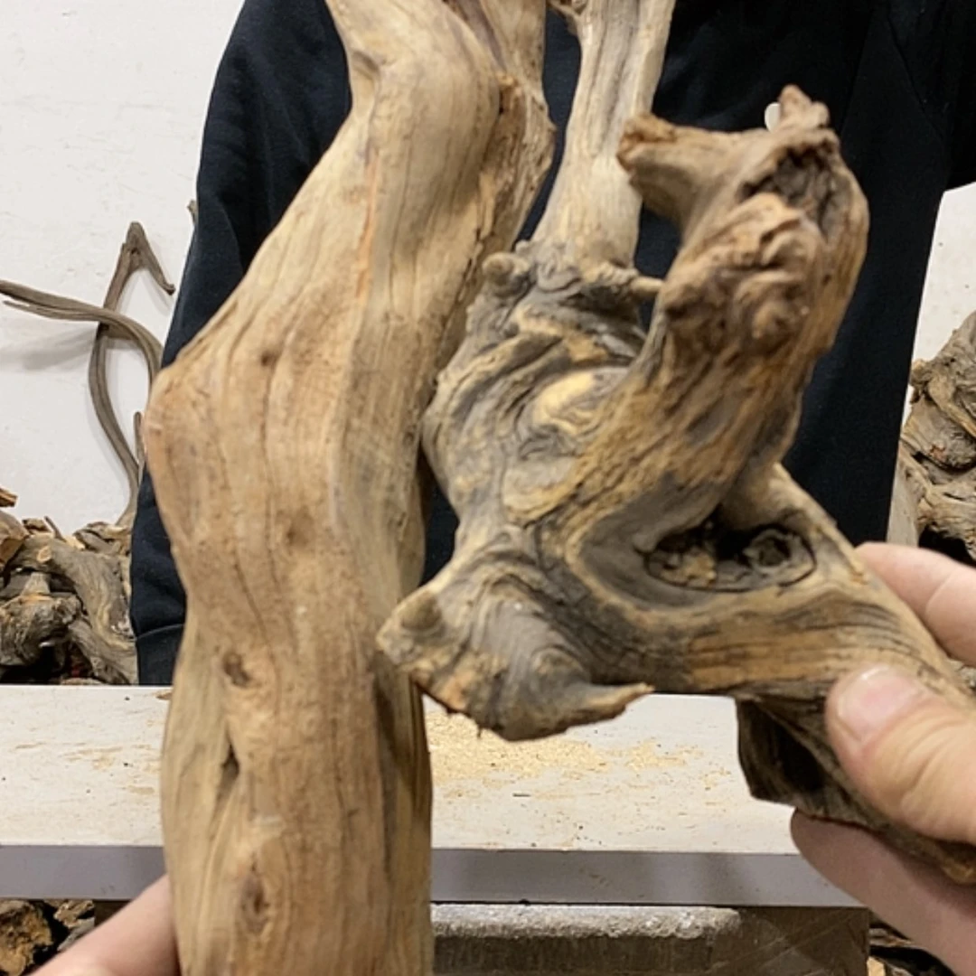 【闪购商品】柏木布****蛋我们都是好孩子