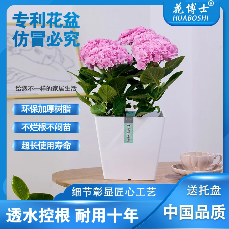 200#正方形盆（口径20cm高18.5cm）加厚环保无异味创意多肉月季