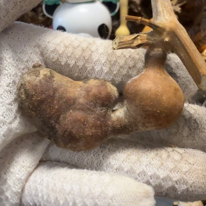 心***安6666666666666667777）