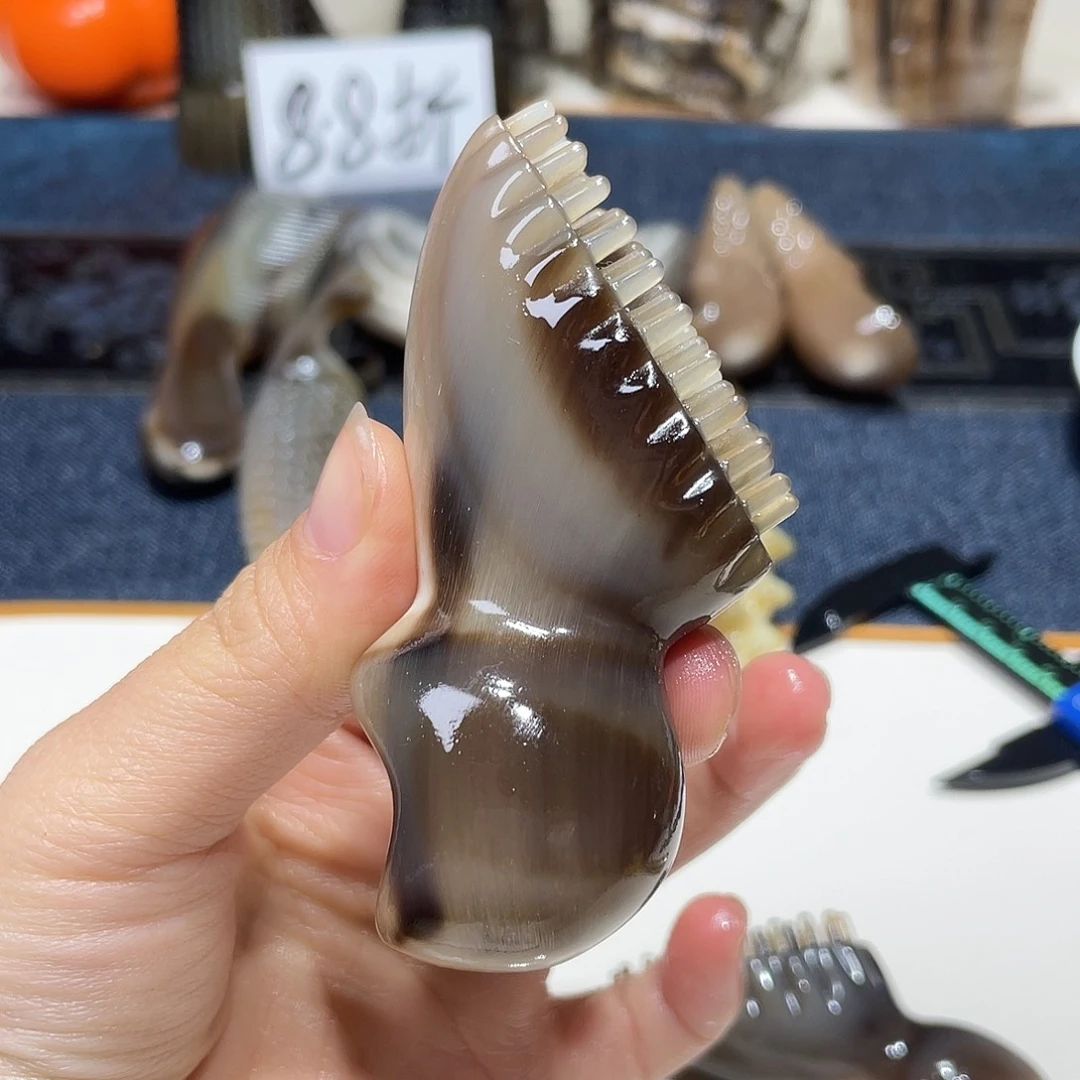 折后价 黑金刚大莲蓬