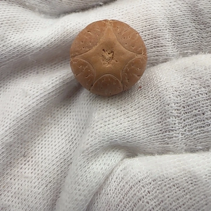 凤眼菩提吊坠，五星打孔不退不换