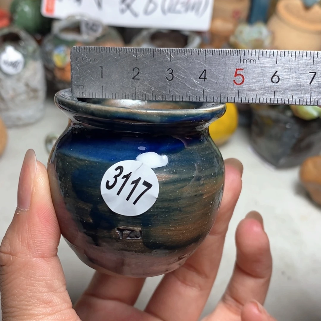 拍5送一个小礼物