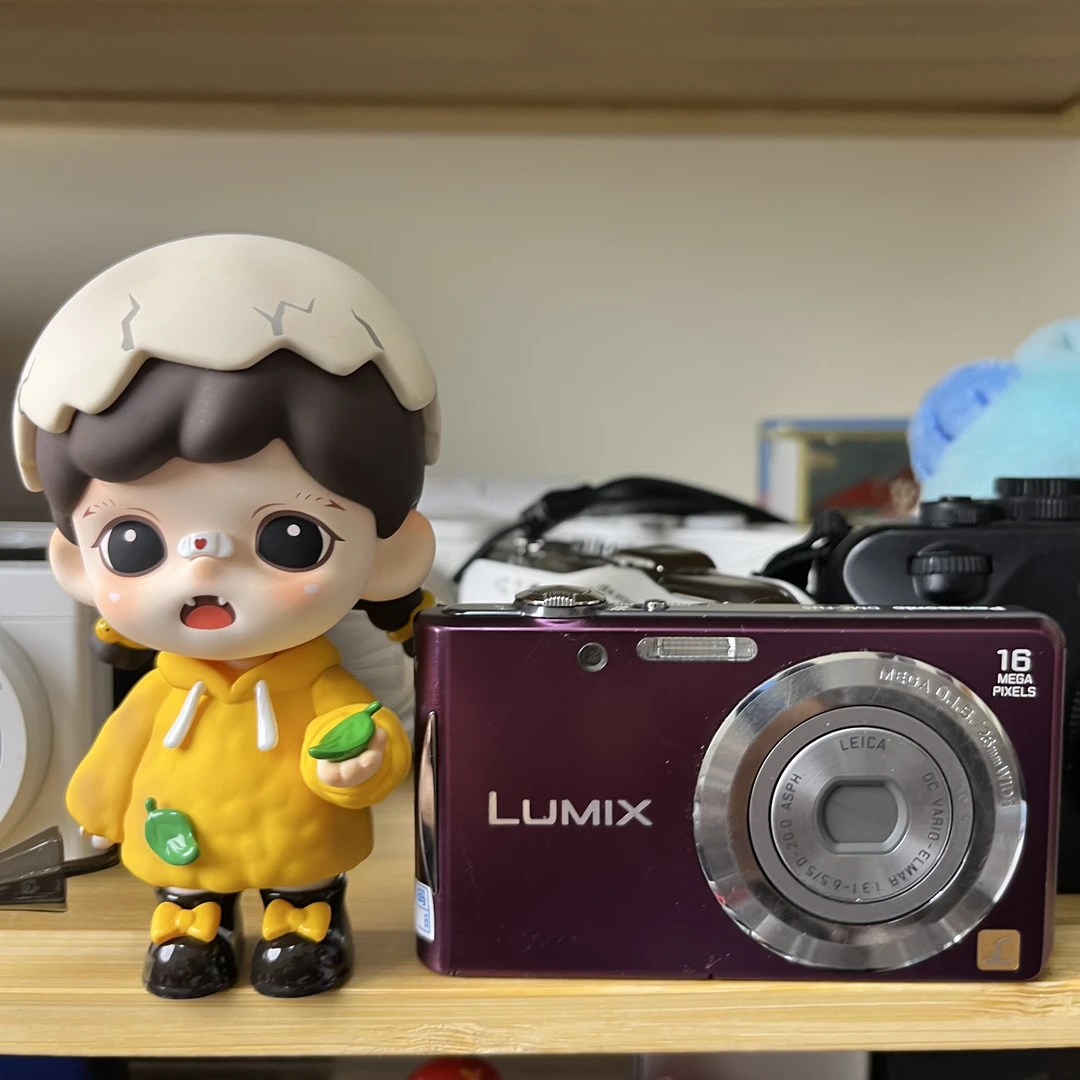 9新  松下fh5 莱卡镜头网红款 成色如图配件齐