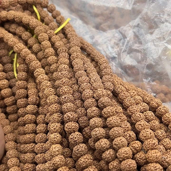 A***s手串金刚菩提谢谢
