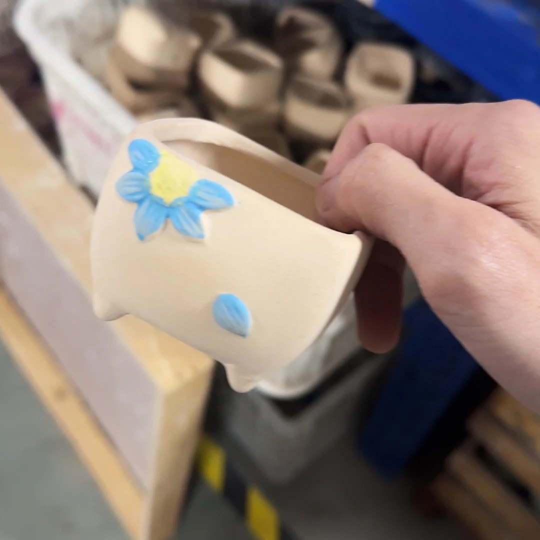 福利局绿植多肉盆［凑9元包邮24小时发］