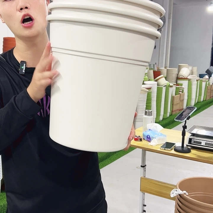 微瑕翻边33高35白色3只无托