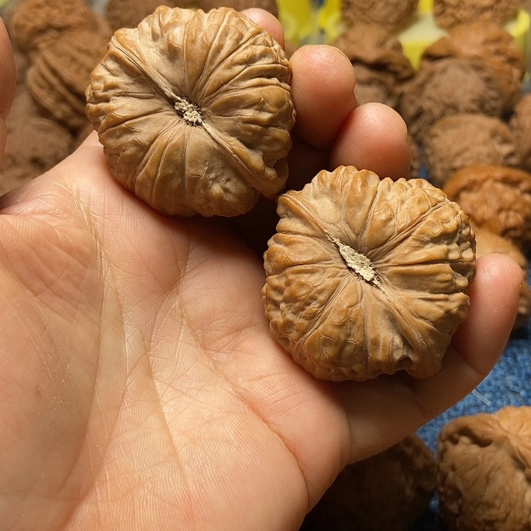 方***解文玩核桃把件南瓜墩