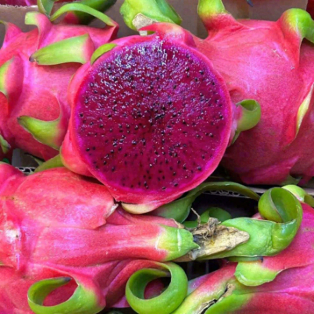 【3个～4个】越南红心火龙果4斤（3.6斤～4.4斤）