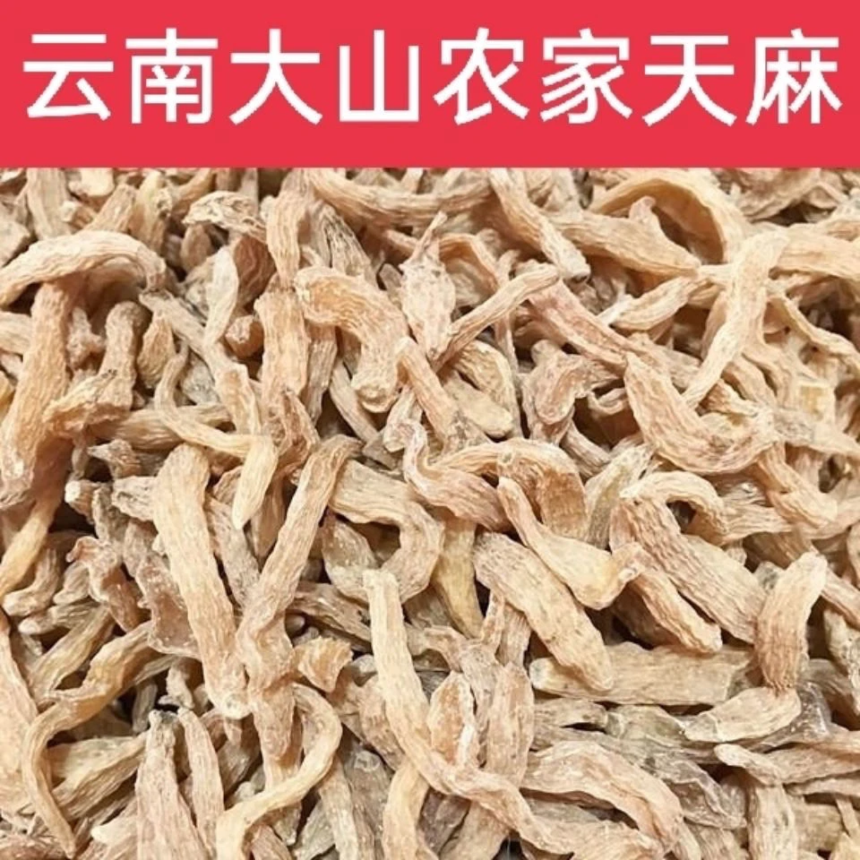 云南昭通小天麻 批发小天麻 小草坝乌天麻 量大价优代打粉