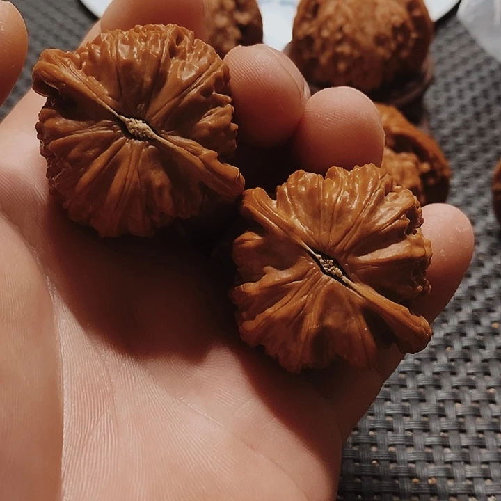 橙***白把件文玩核桃文玩核桃白狮子