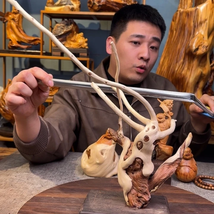 柏木（崖柏）关注一下