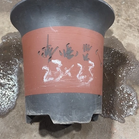 紫砂工艺厂……紫砂工艺厂……