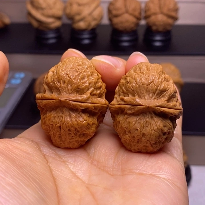 文玩核桃把件卧龙元宝蟾10